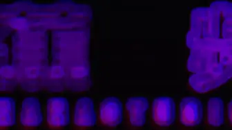 JDSY-199 小水水旅游日记之一起森呼吸