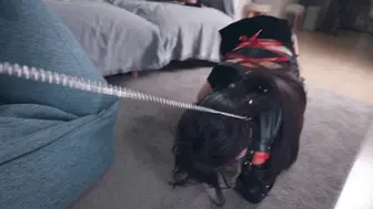 【悠米】《欠债人妻4》和被驯服的妖艳人妻玩起了K9+电棍击打+狗奴爬行+项圈+AV棒强羔+吊脖缚+对镜玩弄+跪缚+狗笼+关在笼子里学猫叫+SP