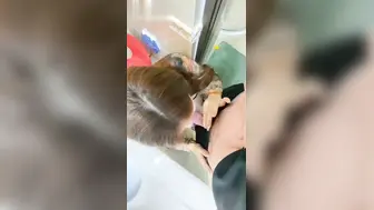 趁妹妹不在家让妹夫好好发泄一下，大姨子主动穿旗袍，勾引妹夫操她骚穴无套内射