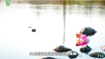π714 倩女幽魂
