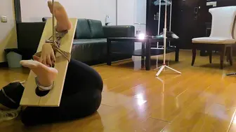 第十三部中