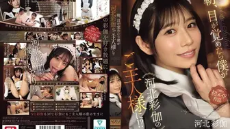 SONE-817 [无码中文字幕]一觉醒来 我竟成了河北彩伽的主人 河北彩伽
